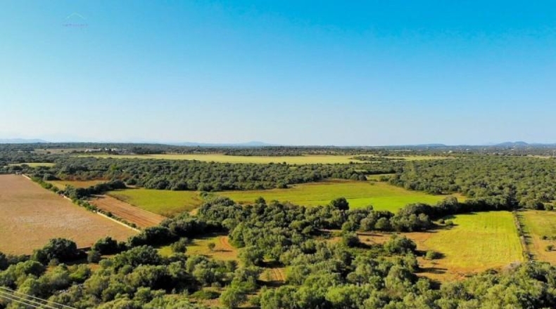 Islas Baleares - Santañy - 280000m2