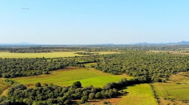 Islas Baleares - Santañy - 280000m2