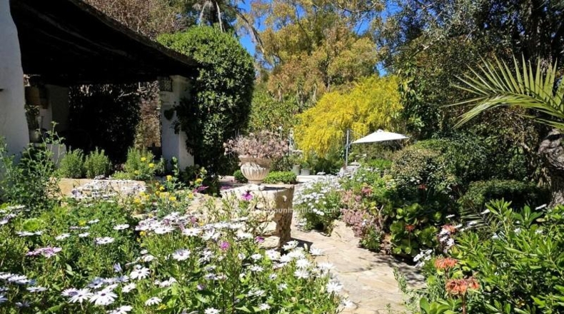 Balearic Islands - San José - 4000m2