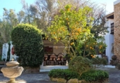 Casa de camp amb terreny en venda a la España, Eivissa, ref.: TR242799 foto