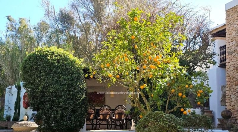 Balearic Islands - San José - 4000m2