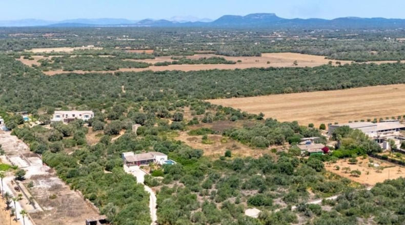 Islas Baleares - Campos - 31000m2