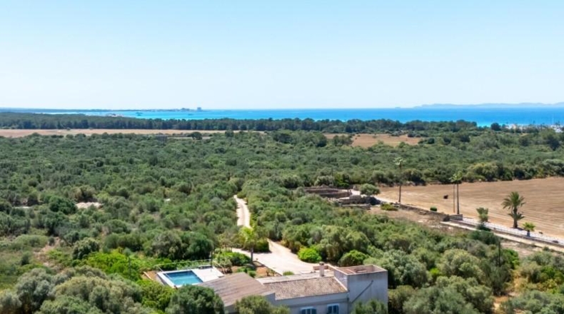 Islas Baleares - Campos - 31000m2