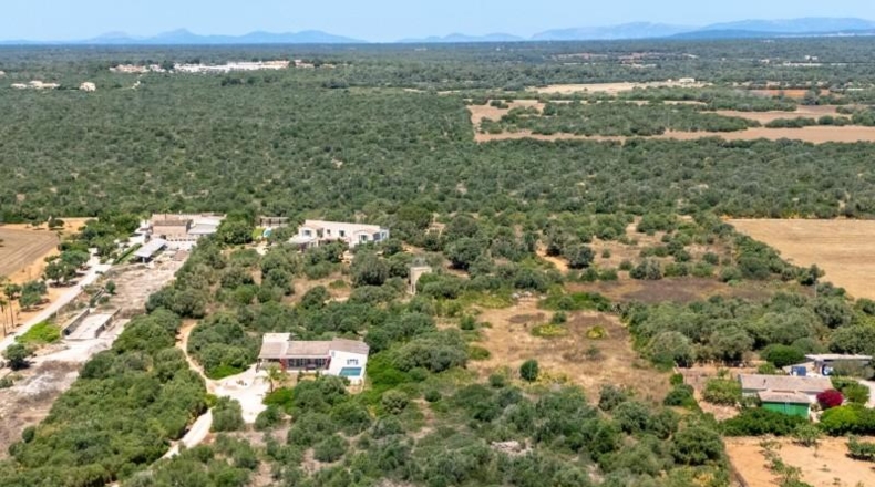 Islas Baleares - Campos - 31000m2
