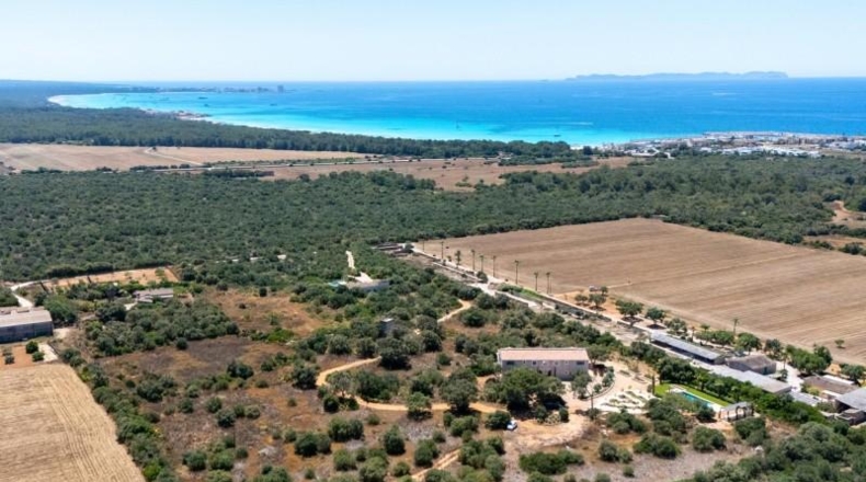Islas Baleares - Campos - 31000m2