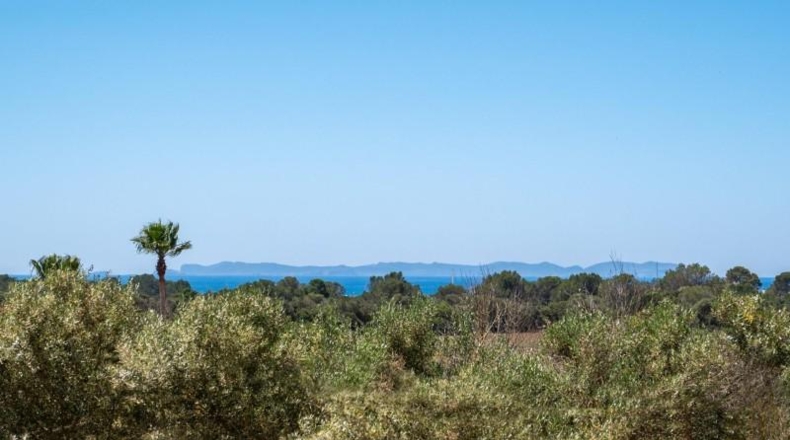 Islas Baleares - Campos - 31000m2