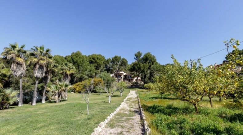 Balearic Islands - Andratx - 6411m2