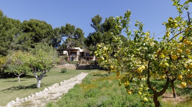 Balearic Islands - Andratx - 6411m2