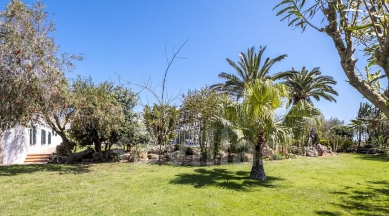 Islas Baleares - Alayor - 15000m2