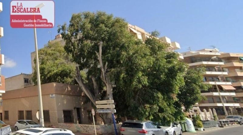Alicante - Torrevieja - 2250m2