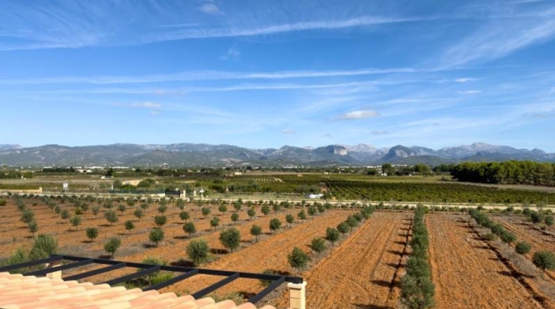 Islas Baleares - Santa Eugènia - 29307m2
