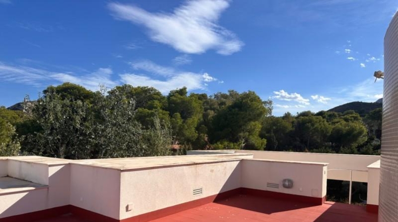 Alicante - Denia - 3029m2