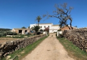 Casa de camp amb terreny en venda a la España, Ciutadella de Menorca, ref.: TR149938 foto