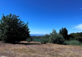 Parcela urbanizable en venta en la España, Marbella, ref: TR242798 foto