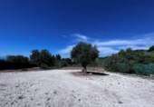 Parcela urbanizable en venta en la España, Marbella, ref: TR242798 foto