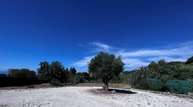 Málaga - Marbella - 5700m2