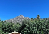 Parcela urbanizable en venta en la España, Marbella, ref: TR242798 foto
