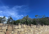 Parcela urbanizable en venta en la España, Marbella, ref: TR242798 foto