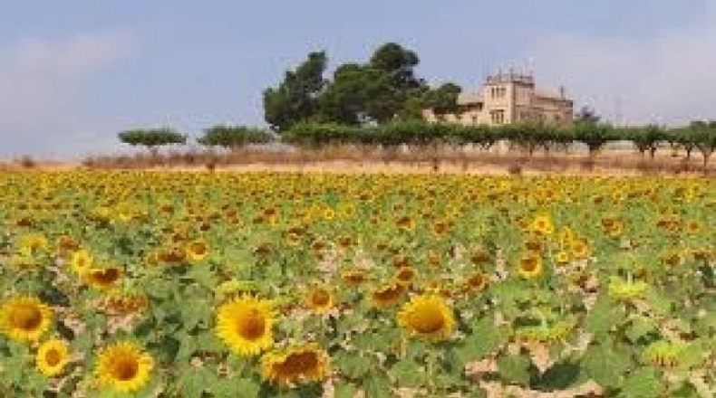 Alicante - Villena - 8470000m2