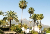 Xalet independent amb terreny en venda a la España, Marbella, ref.: TR315269 foto