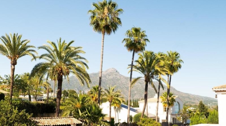 Málaga - Marbella - 873m2