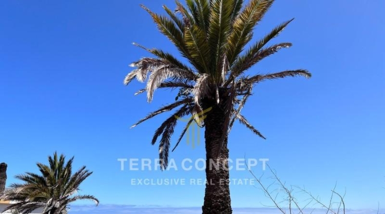 Santa Cruz de Tenerife - Puerto de la Cruz - 16000m2