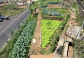 Xalet independent amb terreny en venda a la España, Santa Úrsula, ref.: TR245376 foto