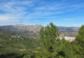Non-developable land for sale on España, Benigembla, ref: TR264843 photo