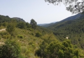 Non-developable land for sale on España, Benigembla, ref: TR264843 photo