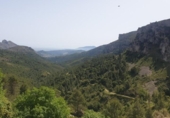 Non-developable land for sale on España, Benigembla, ref: TR264843 photo