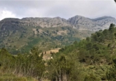 Non-developable land for sale on España, Benigembla, ref: TR264843 photo
