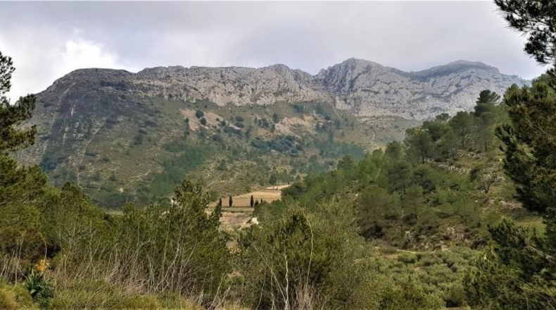 Alicante - Benichembla - 10600000m2