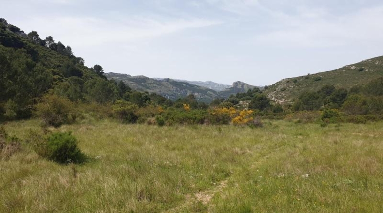 Alicante - Benichembla - 10600000m2