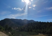Non-developable land for sale on España, Benigembla, ref: TR264843 photo