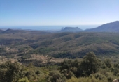 Non-developable land for sale on España, Benigembla, ref: TR264843 photo