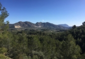 Non-developable land for sale on España, Benigembla, ref: TR264843 photo