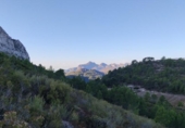 Non-developable land for sale on España, Benigembla, ref: TR264843 photo
