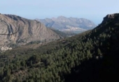 Non-developable land for sale on España, Benigembla, ref: TR264843 photo