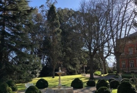 Foto 11