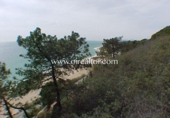 Parcel·la urbanitzable en venda a la España, Sant Pol de Mar, ref.: TR166253 foto