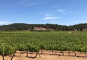 Земля, подлежащая урбанизации на продажу у города Sant Pere de Ribes Фото