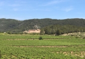 Земля, подлежащая урбанизации на продажу у города Sant Pere de Ribes Фото