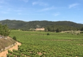 Земля, подлежащая урбанизации на продажу у города Sant Pere de Ribes Фото