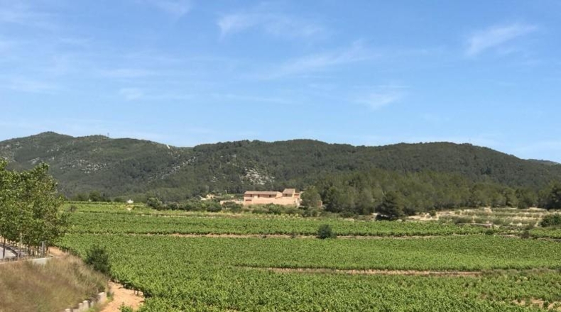 Barcelona - Sant Pere de Ribes - 67m2