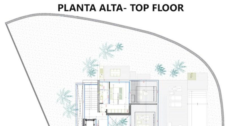 Santa Cruz de Tenerife - Adeje - 500m2