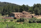 Загородный дом с участком на продажу в городе Sant Pere de Ribes Фото