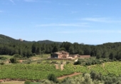 Загородный дом с участком на продажу в городе Sant Pere de Ribes Фото