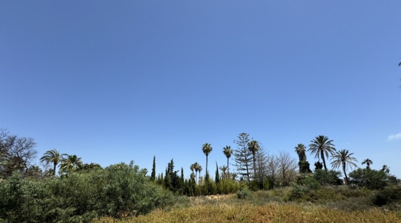 Malaga - Marbella - 3607m2