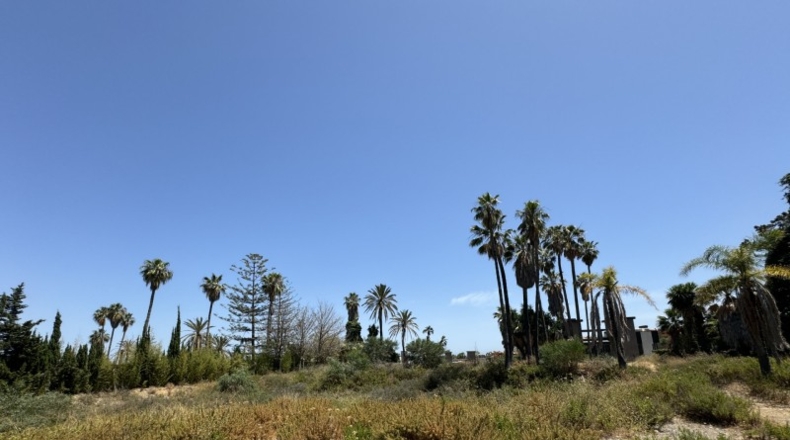 Malaga - Marbella - 3607m2