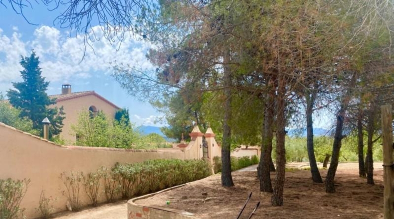 Comunidad de Madrid - El Molar - 830000m2